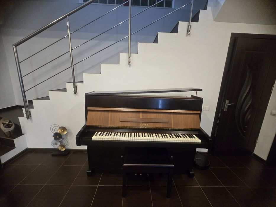 Pianină Doina placă bronz