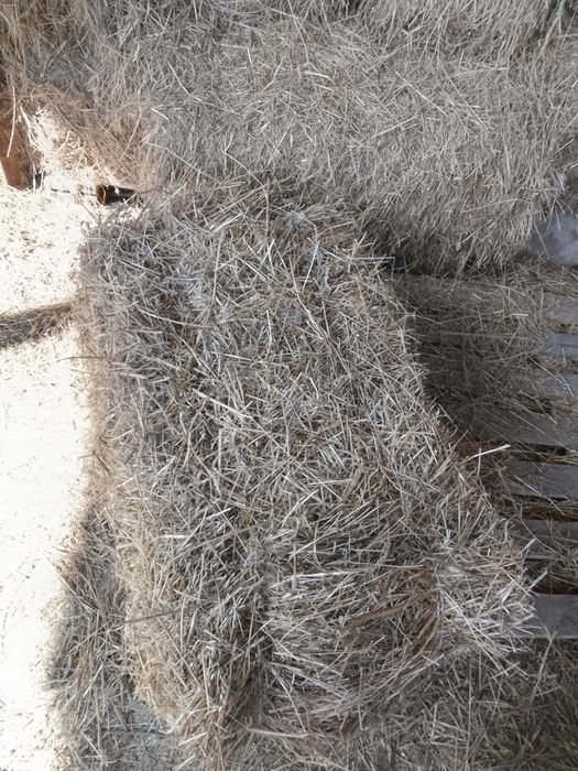 Сено дёшево в тюках