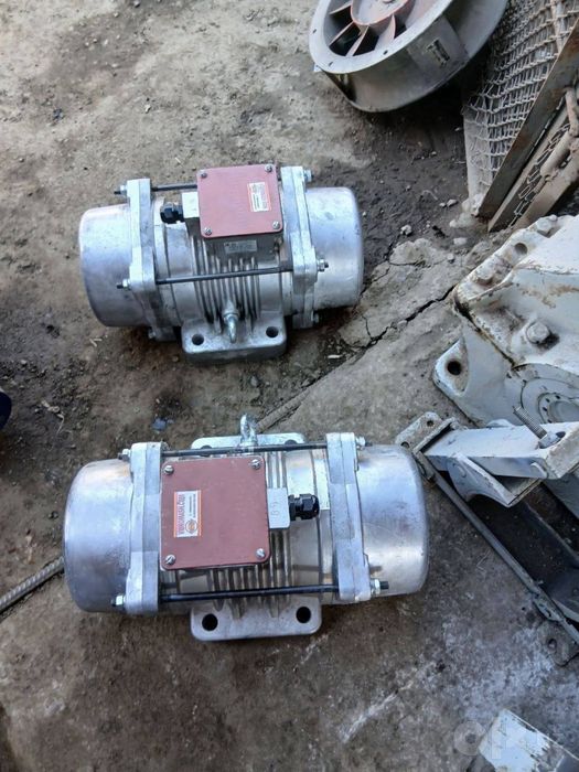 Elektira vebrator