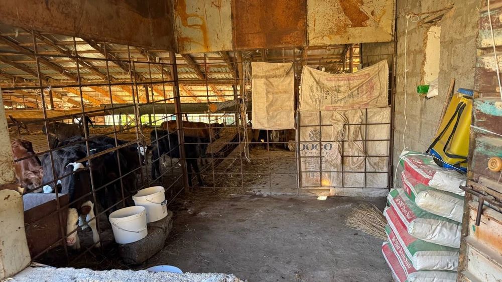 Продаётся фермерское хозяйство 11 га..