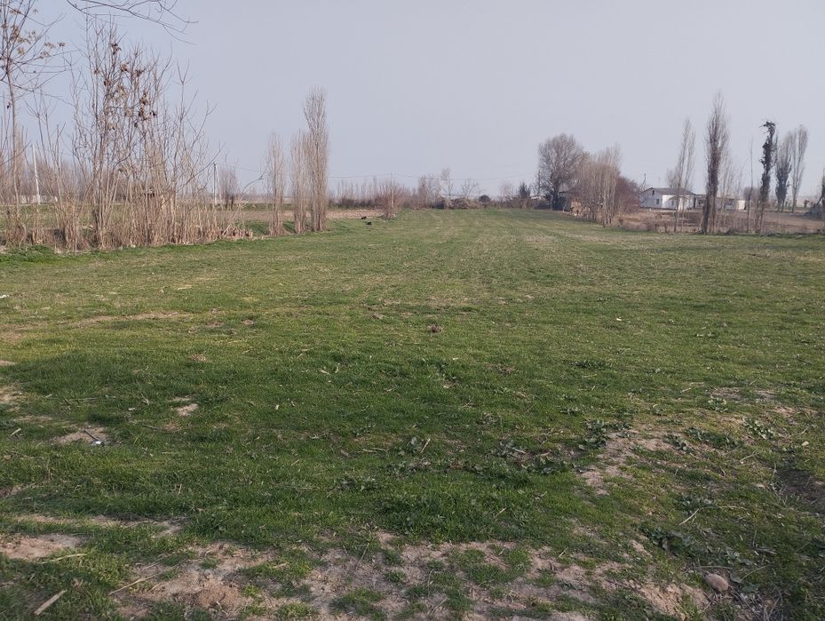 Tezda uy sotiladi: Qulay joylashuv, katta yer maydoni.