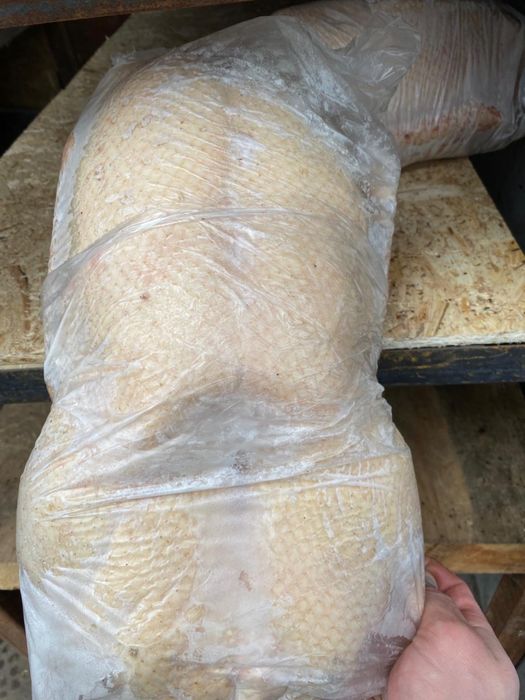 Гуси молодые . Утки молодые