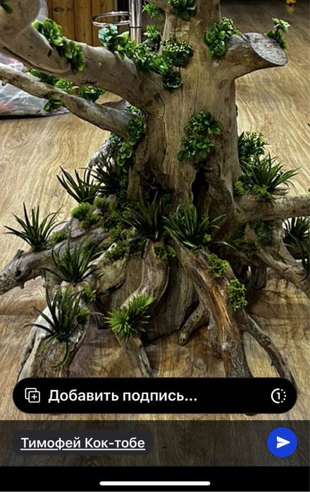 Коряги и камни для аквариума