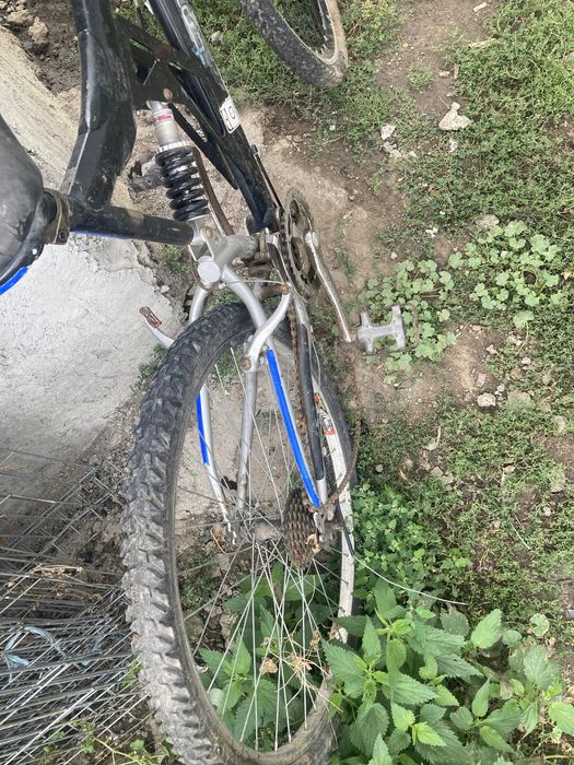 bike affairs torreth mtb