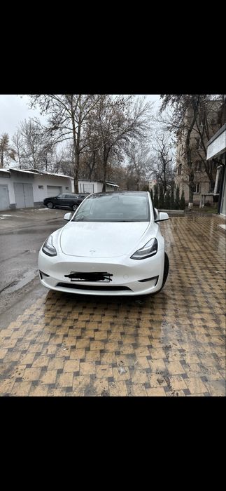 Model Y, Long Range, Американка