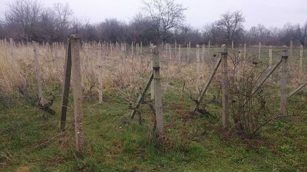 ВИЛА  с   Двор  1  Декър