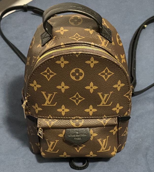 Louis Vuitton Palm Springs Mini