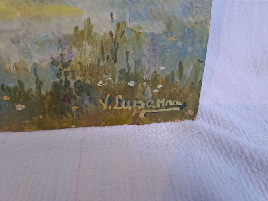 tablou vechi pictura pe pfl 43/33,5 cm semnat