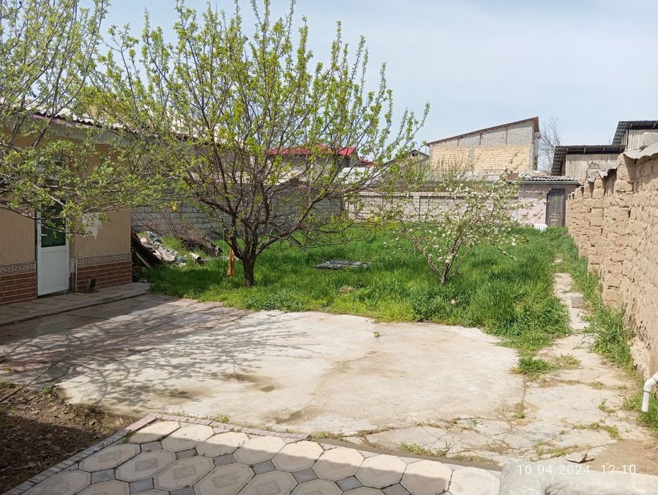 Qibray tumanida uchastka