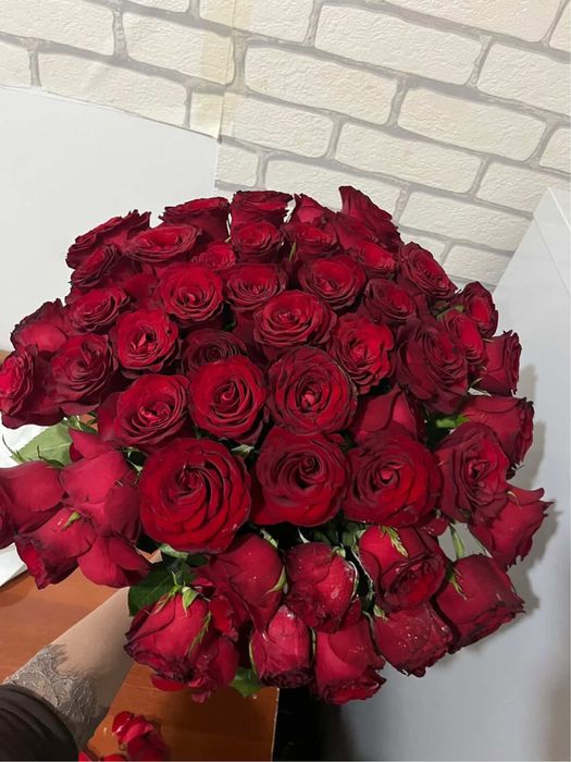 51 роза свежийй гул