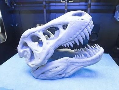 Череп тиранозавра