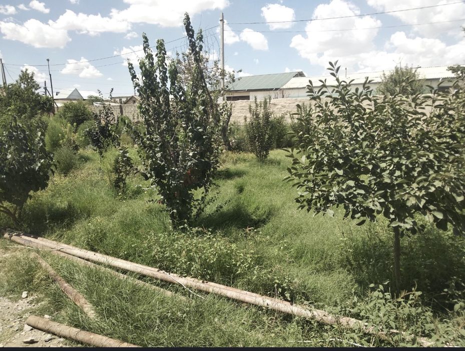 Срочно. застройщики и инвесторы