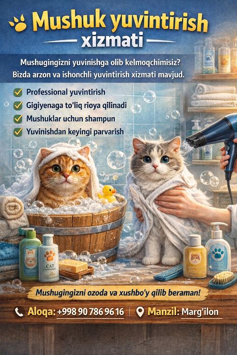 mushuklar uchun kerakli hizmatlar