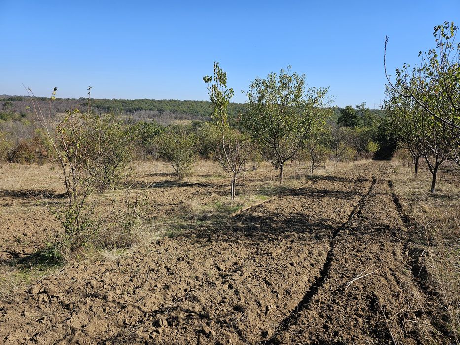 Продава се Земеделски имот в Плевен, Дружба 1 -  кв.м за 780 €/дка - Снимка #3