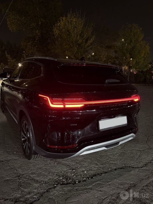 Byd champion Dm-i 2024