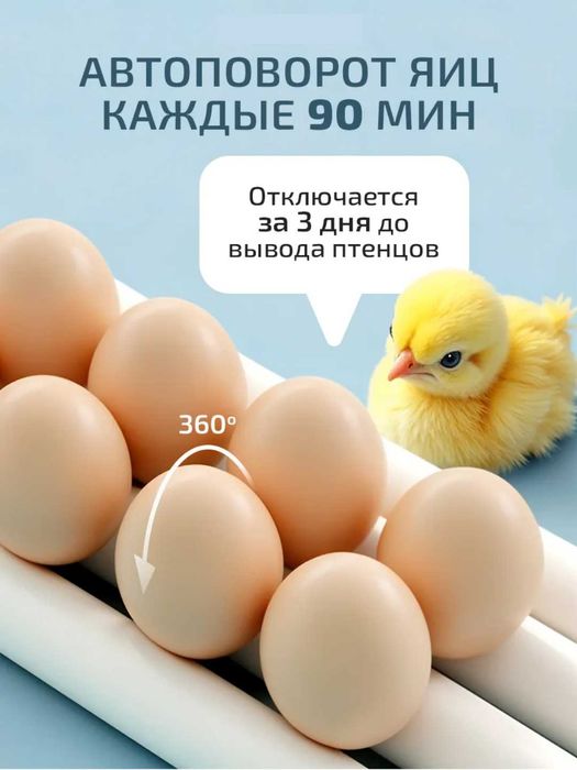 Автоматический инкубатор яиц с автоповоротом