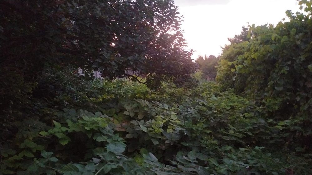 Дом в центре Тараза