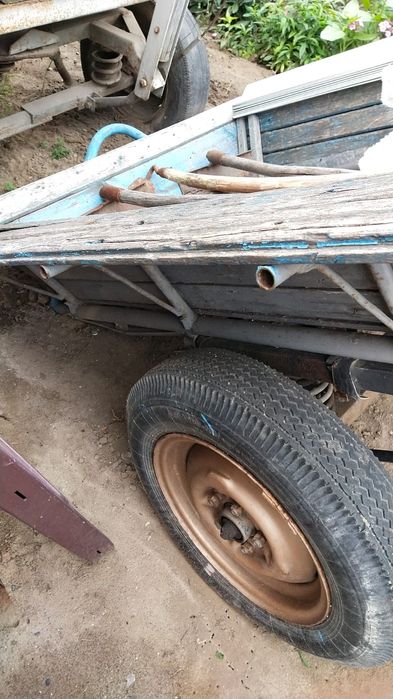 Ишак  девочка продаётся вместе с телегой