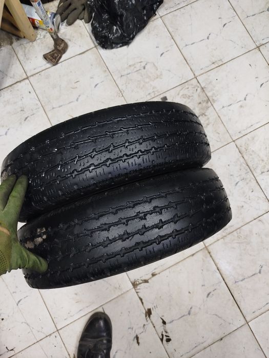 Labo Van Damas uchun 12 diska balon sotiladi