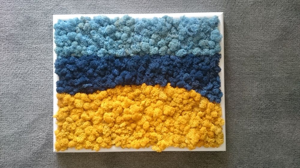 Изработване пана/картини от видове и цветове скандинавски мъх