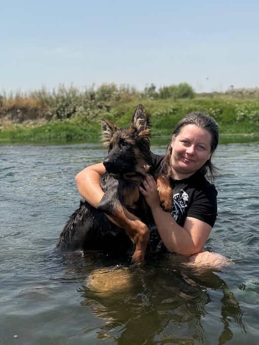 Частная мини  передержка животных