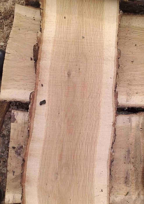 Продавам сух и мокър дървен материал ясен, бряст, дъб, орех, гледичия