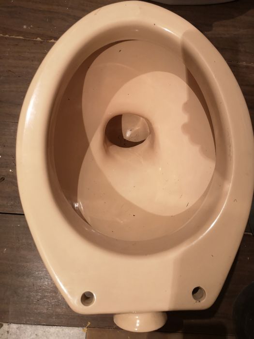 Тоалетната чиния