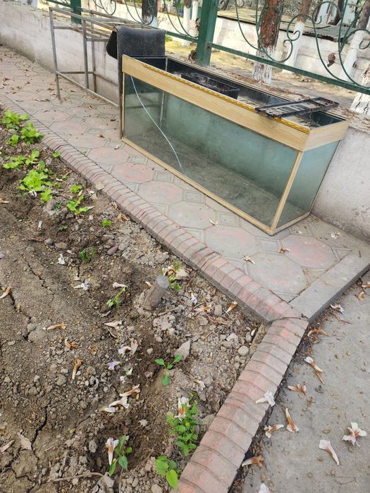 Аквариум большой