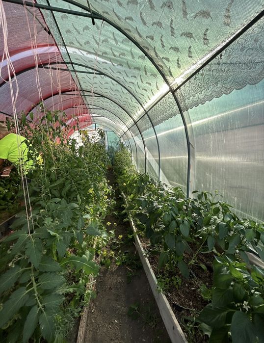 Продам теплицу 3*8