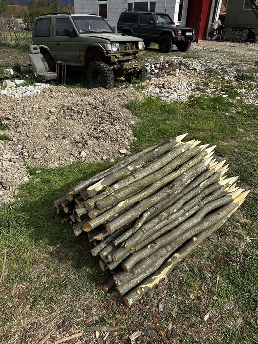 Vând parii fasole si rosii