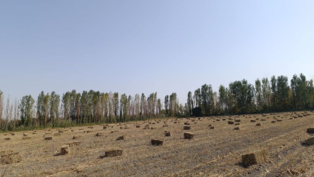 Пресс арзон 800та