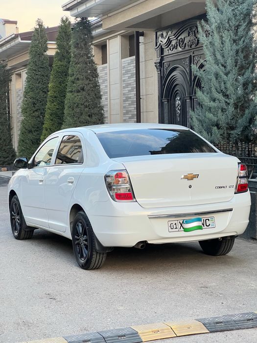 Cobalt 2025 Midnayt propan