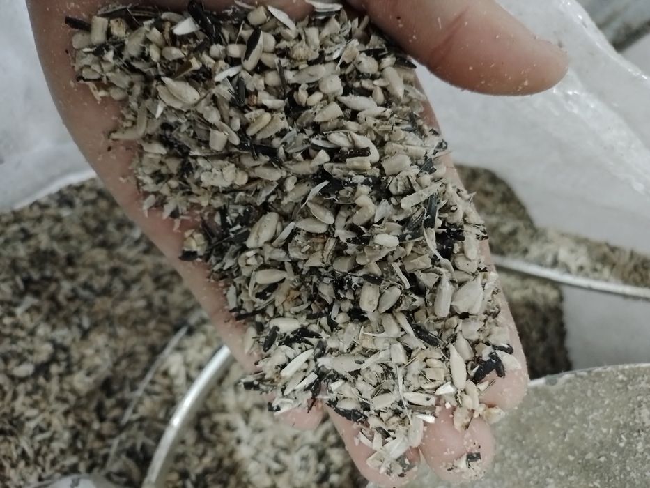 Жем отход от семечки