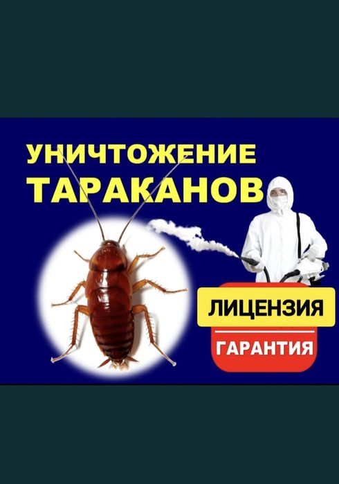 Дезинфекция тараканы Семей