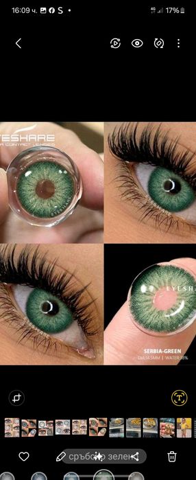 Целогодишни цветни Лещи