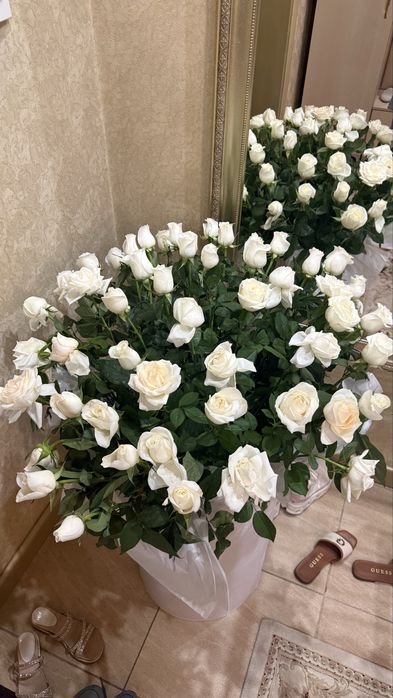 Розы в коробке 51