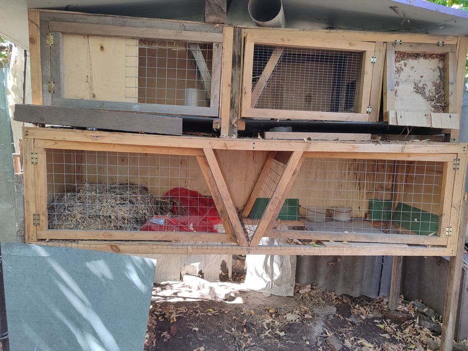 Клетка для кроликов
