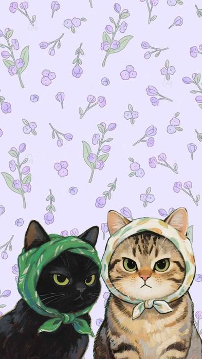 Отдам кота даром