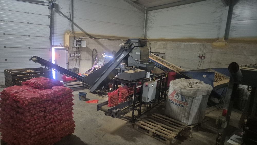 Linie/masina de ambalat legume,cartofi,ceapa