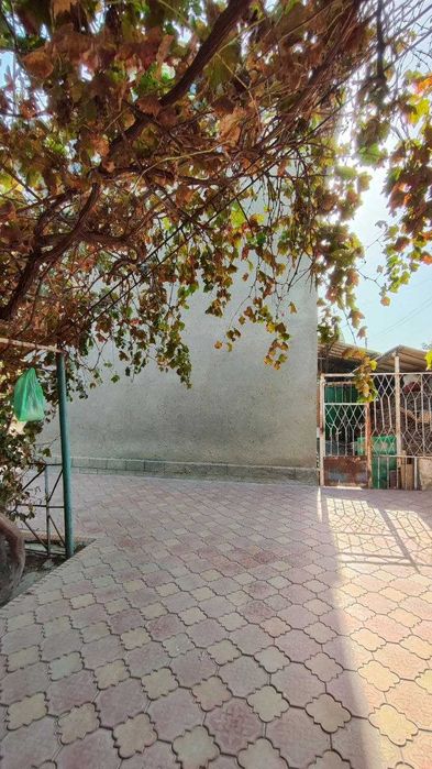 Дом с участком 18 соток