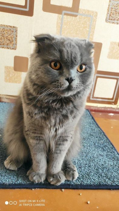 Sjdkdjdjsjxosjd djdo