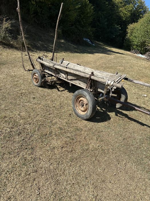 Vand cal cu caruta si ham