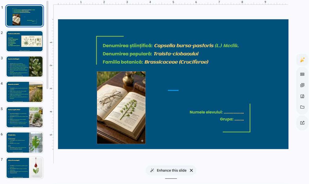 Ajutor Academic: Referate, Prezentări PowerPoint și Lucrări de Curs