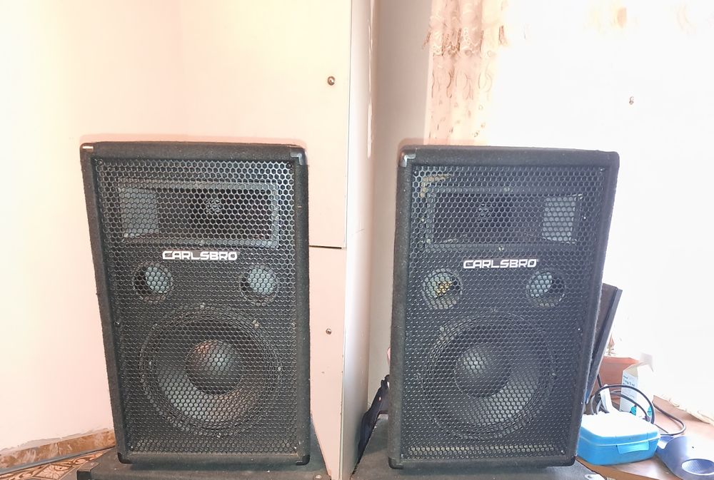 Vând boxe pasive CarlsBro 10 "