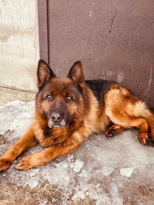 Ищем красивую невесту!!!