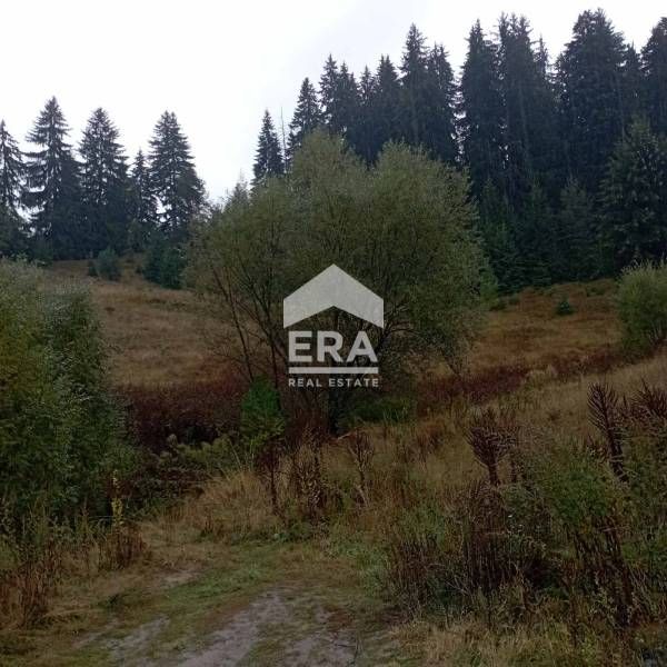 Продава се Парцел в Чепеларе - 4127 кв.м за 54 €/кв.м - Снимка #1