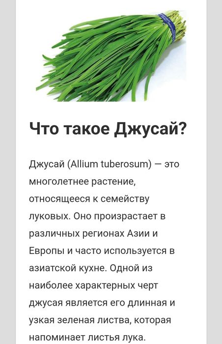 Продам джусай свежий