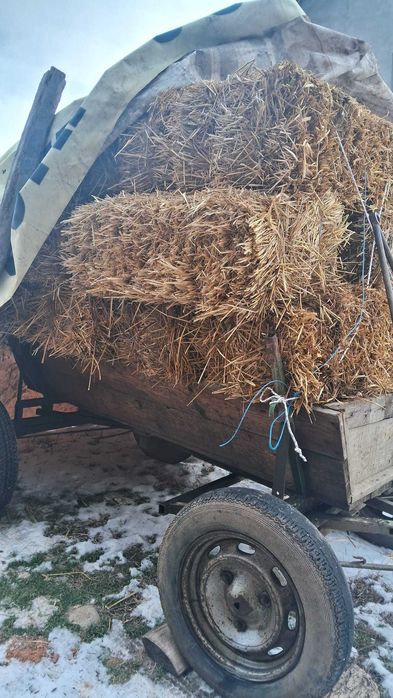 vând baloți lucernă otavă