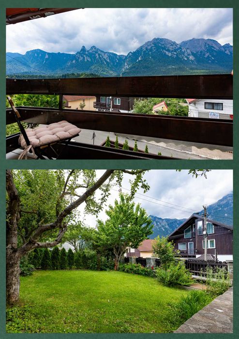 The Bear House 1 | intreaga locatie | ciubar | gradina | loc de gratar