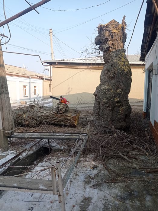 Бензопила хизмати